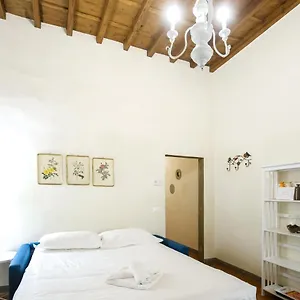 Roomy&elegant By Piazza Pitti Firenze